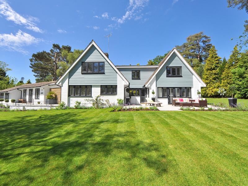 Eén grassoort voor alle doeleinden Eén grassoort voor alle doeleinden