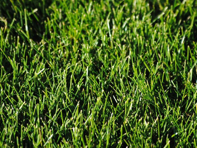 Bodemtest gazon Bodemtest gazon