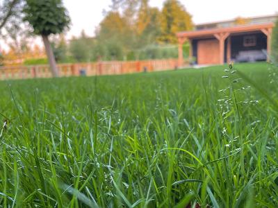 De voordelen van gras in de tuin | Hendriks Graszoden