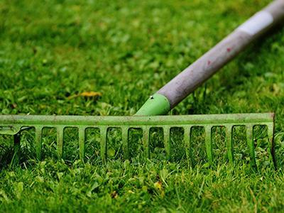Gras verticuteren | Wanneer verticuteren? | Hendriks Graszoden