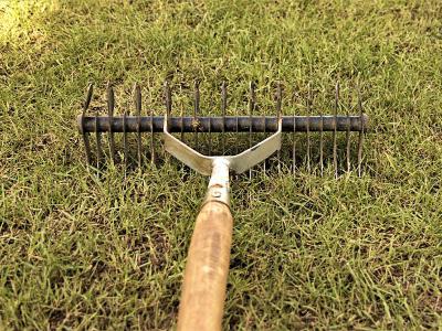 Uw gazon winterklaar maken | Hendriks Graszoden