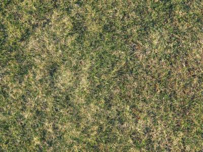 Gras vervangen of herstellen na droogte