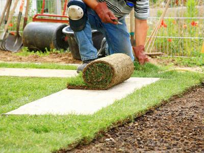 Graszoden leggen: wanneer is de beste periode? | Hendriks Graszoden
