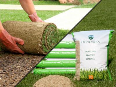 Graszoden of zaaien, wat is handiger? | Hendriks Graszoden