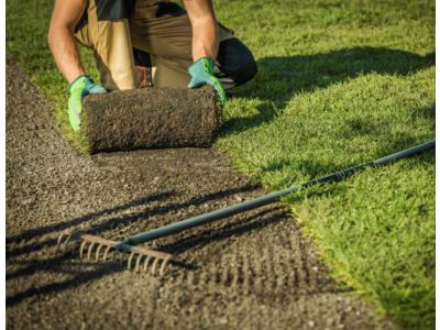 Hoeveel graszoden heb ik nodig?