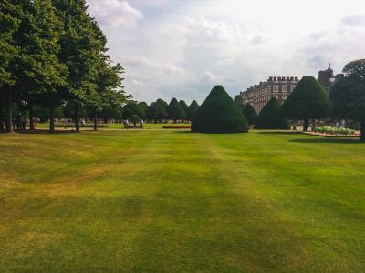 Kale plekken in gazon herstellen | Hendriks Graszoden