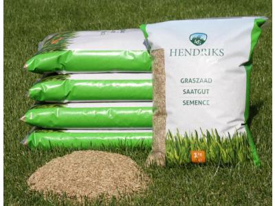 Wat is het beste graszaad voor uw gazon?