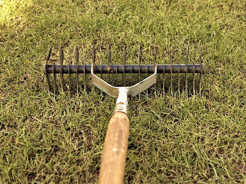 Uw gazon winterklaar maken Uw gazon winterklaar maken