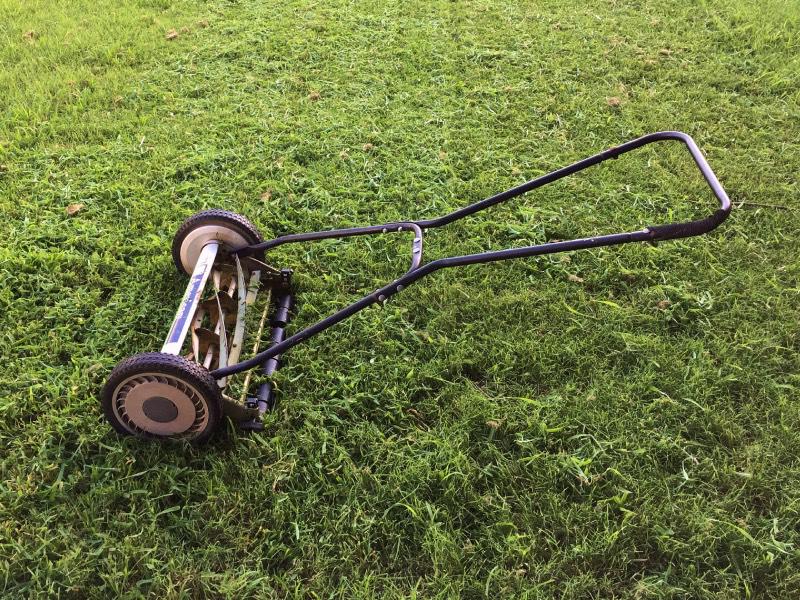 Uw gras maaien in de herfst? Voorkom deze fouten! Uw gras maaien in de herfst? Voorkom deze fouten!