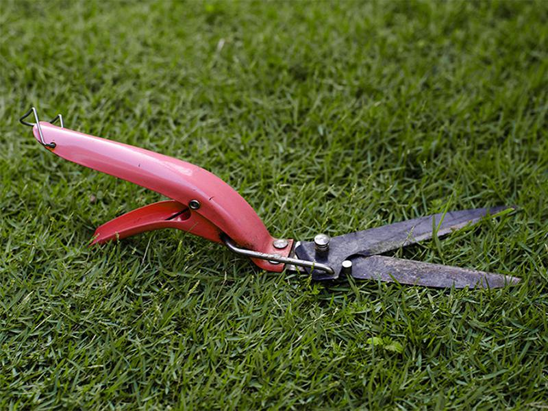 Grasonderhoud in maart Grasonderhoud in maart