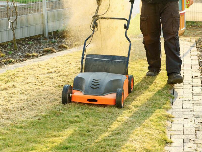 Onderhoud uw gazon door te beluchten of te verticuteren Onderhoud uw gazon door te beluchten of te verticuteren