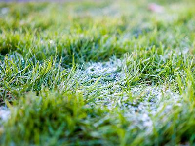 Sneeuw en ijs op uw gazon Sneeuw en ijs op uw gazon