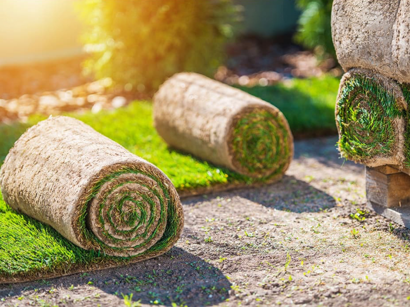 Waarom nu alvast graszoden kopen? Waarom nu alvast graszoden kopen?