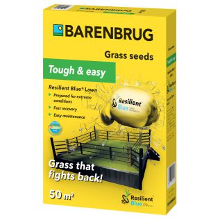 Barenbrug Resilient Blue Lawn graszaad 1 kg | Hendriks Graszoden