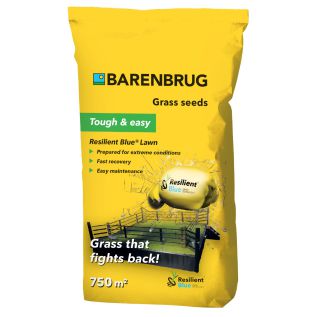 Barenbrug Resilient Blue Lawn graszaad 15 kg | Hendriks Graszoden