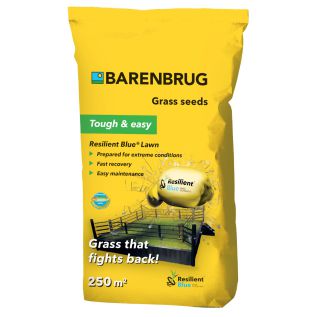 Barenbrug Resilient Blue Lawn graszaad 5 kg | Hendriks Graszoden