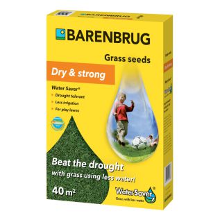 Barenbrug Water Saver graszaad 1 kg | Hendriks Graszoden