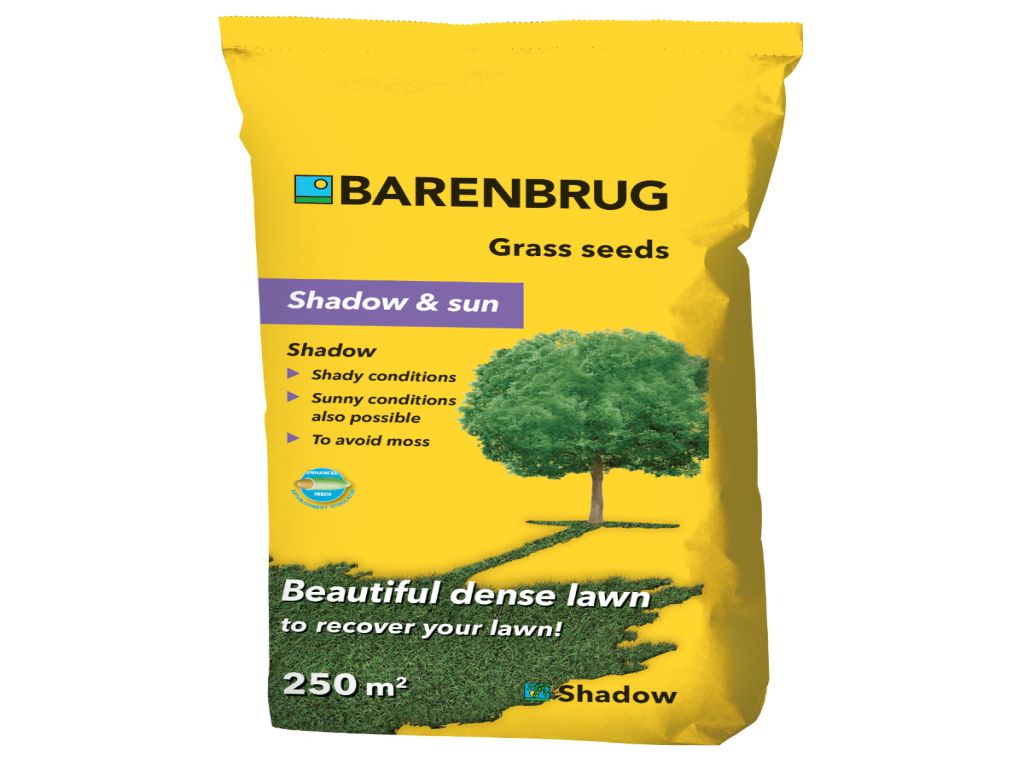 Barenbrug Shadow graszaad 5 kg