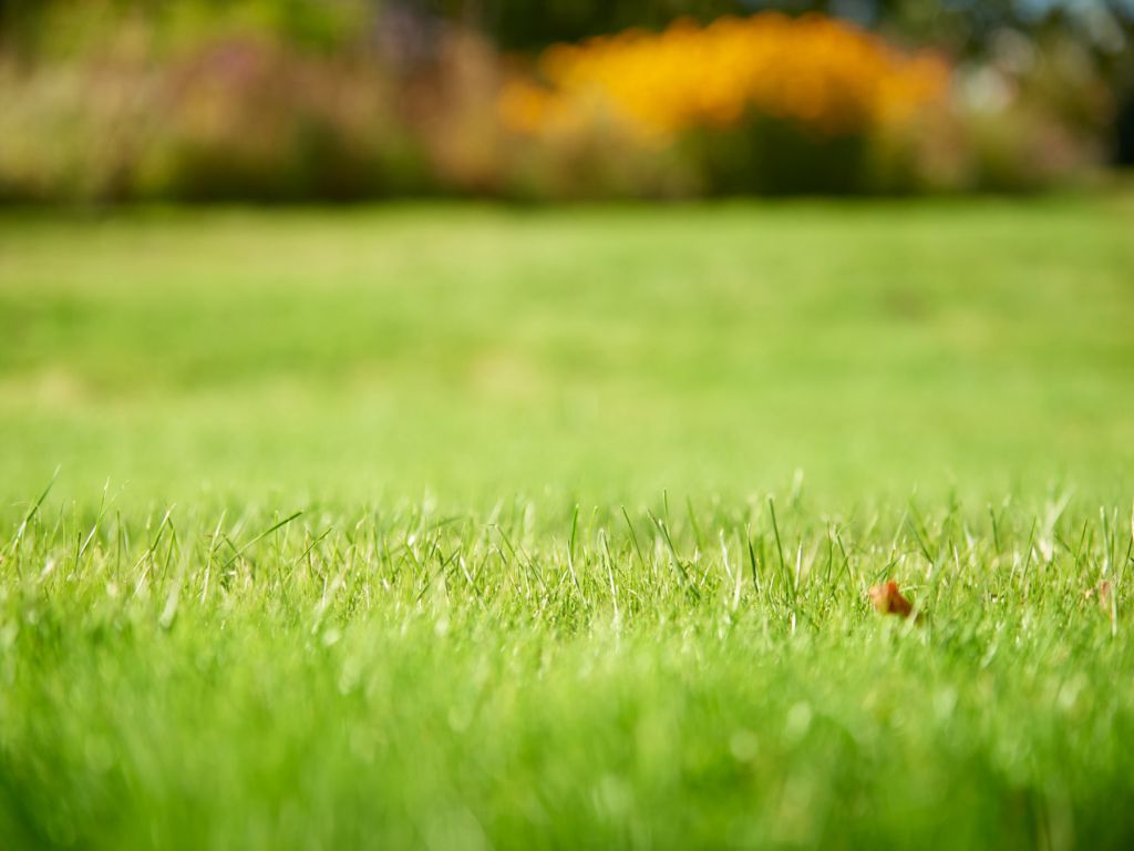 Wolf Garten Gazon en Tuin Kalk 200 m2