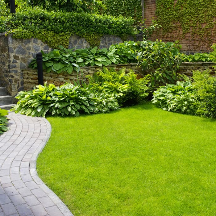 Hendriks Premium Natuurgras Hendriks Premium Natuurgras