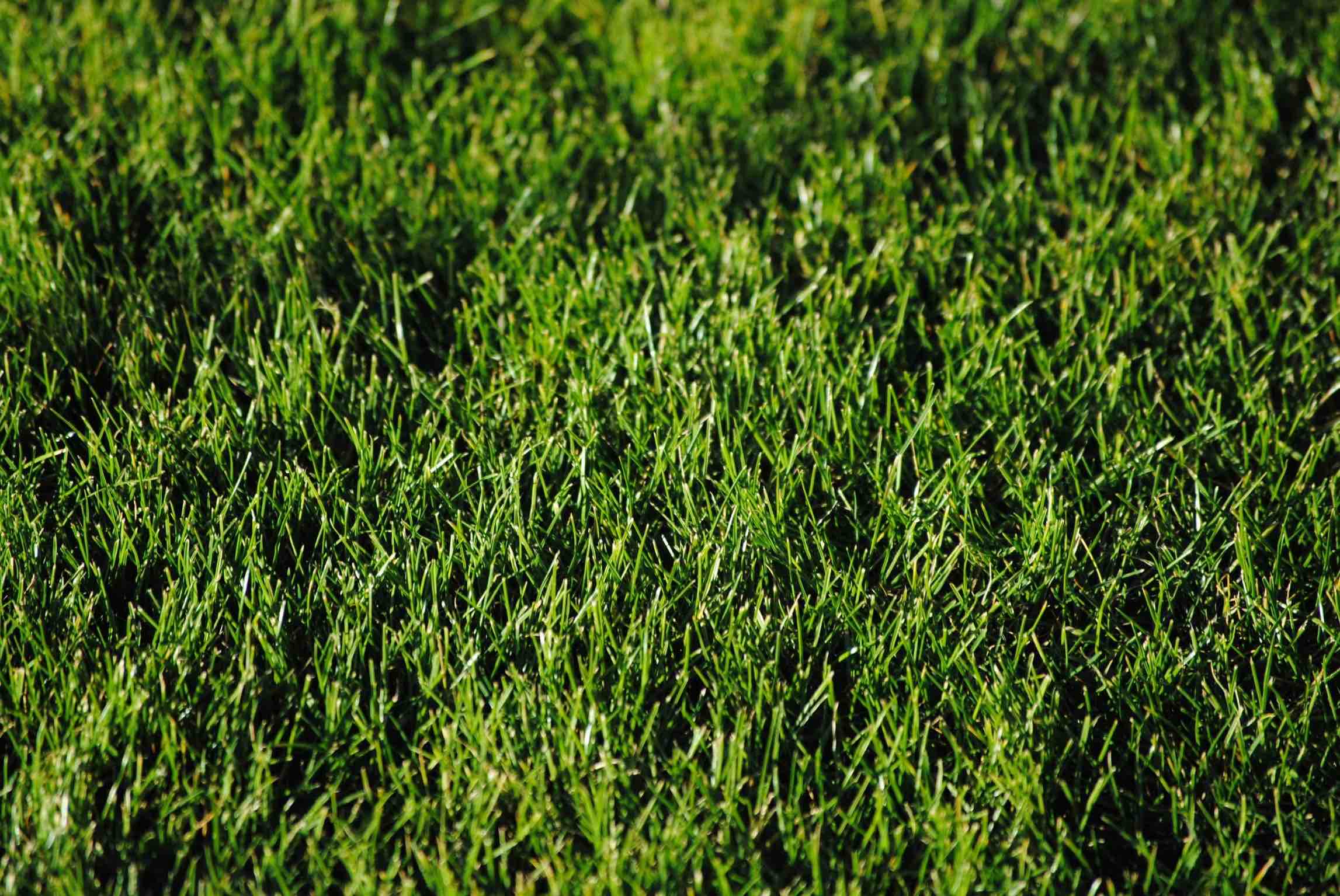 Gras laten leggen tarieven Gras laten leggen tarieven