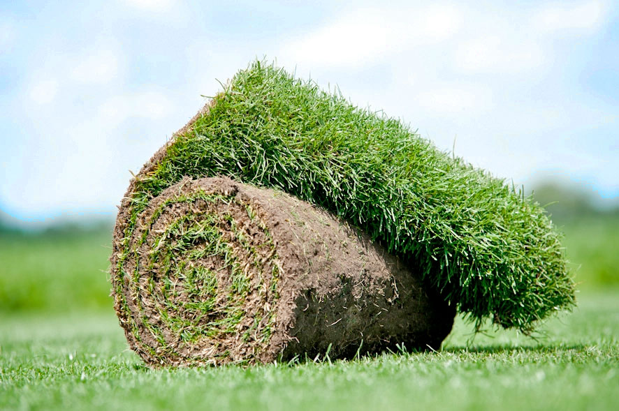 Wat is mijn totale grasmatten prijs? Wat is mijn totale grasmatten prijs?