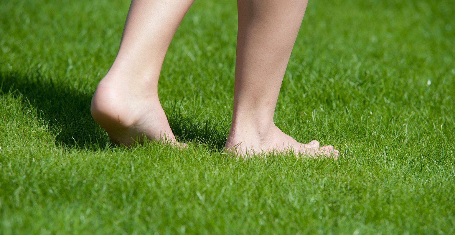 Wat kosten graszoden? Wat kosten graszoden?